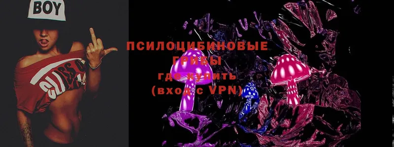 Псилоцибиновые грибы Magic Shrooms  mega зеркало  Малаховка 